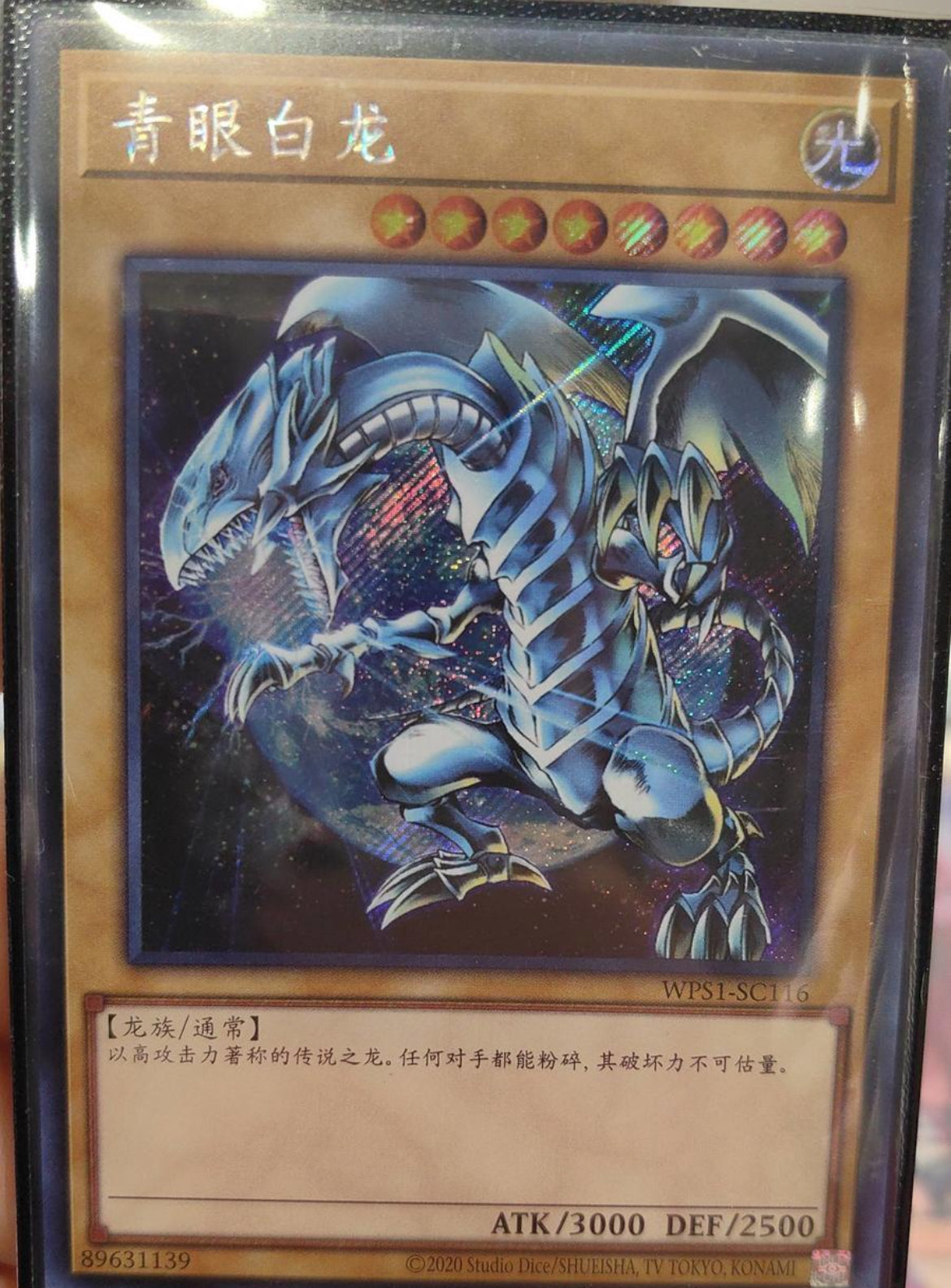 青眼の白龍 プリシク 中国版 青眼の白龍 中国」の激安通販 |