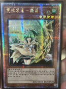 【受注発送】中国版　憑依装着-ウィン(25thシークレットレア)