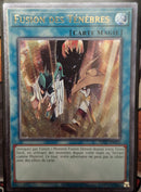 ★受注発送★EU版　ダーク・フュージョン（アルティメットレア)