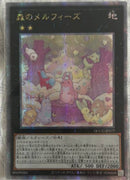 【受注発送】アジア版　
極征竜－シャスマティス シークレット 
フォトンデルタウィング シークレット 
森のメルフィーズ 25th