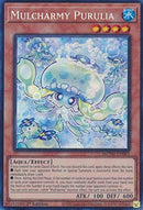 ★受注発送★EU版 マルチャミー・プルリア（コレクターズレア)