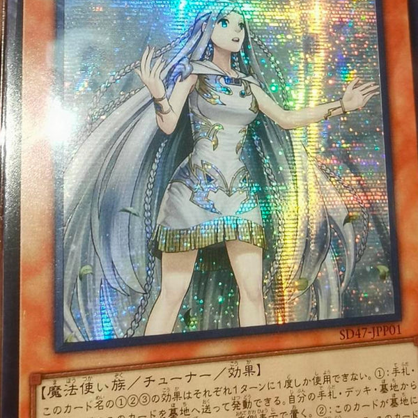 遊戯王　白き乙女　本日発送可能 遊戯王白き乙女本日発送可能