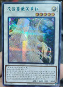 【受注発送】中国版　ガーデン・ローズ・フローラ(ブルーシークレットレア)