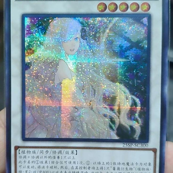 受注発送】中国版 ガーデン・ローズ・フローラ(ブルーシークレットレア)