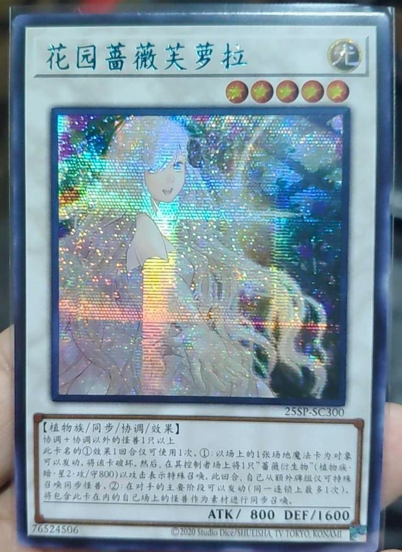 【受注発送】中国版　ガーデン・ローズ・フローラ(ブルーシークレットレア)