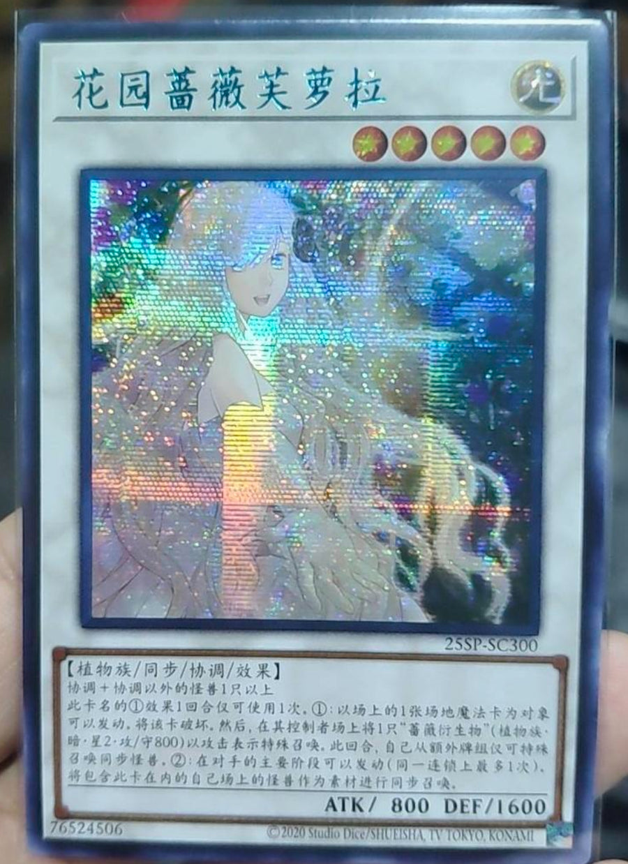 受注発送】中国版 ガーデン・ローズ・フローラ(ブルーシークレットレア)