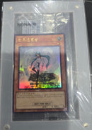 【受注発送】WCS 中国　中国版　エフェクト・ヴェーラー　未開封　大会　プロモ