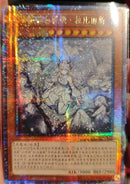 【受注発送】中国版　迷宮城の白銀姫(25thシークレットレア)