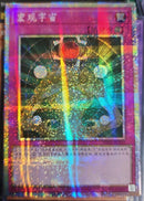 【受注発送】中国版　マクロコスモス(プリズマティックシークレットレア)