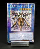 【受注発送】中国版 粛清なる守護者ローガーディアン (25thレア)