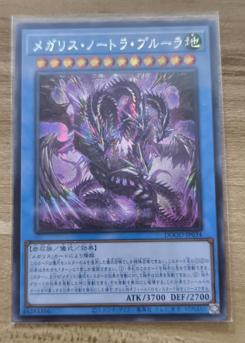 【受注発送】アジア版　メガリス・ノートラ・プルーラ(シークレットレア)