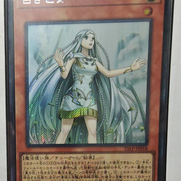 FullSizeRender_c0aea54e-06f9-