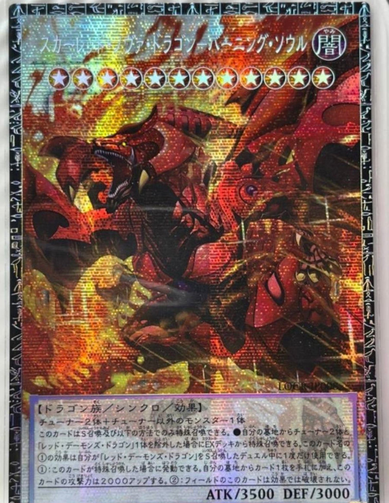 要説明文 確認 在庫あり【受注発送】アジア版 オーバーフレーム スカー 