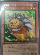 【受注発送】アジア版　アンカーボルト・ヘッジホッグ(シークレットレア)