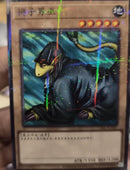 【即日発送】中国版　レオ・ウィザード(ノーマルパラレルレア)