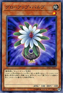 【受注発送】中国版 グローアップ・バルブ (25thレア)