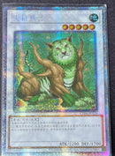 中国版 ナチュル・ビースト (プリズマティックシークレットレア)