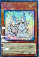 中国版 ピュアリィ(コレクターズレア)