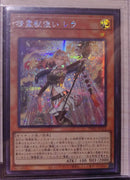 【受注発送】アジア版 精霊獣使い　レラ (シークレットレア)