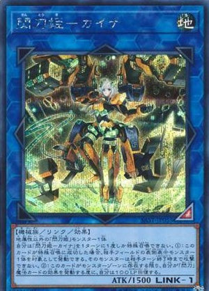 アジア版 SAVAGE STRIKE