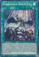 ★受注発送★禁じられた一滴（シークレットレア）Forbidden Droplet 1st