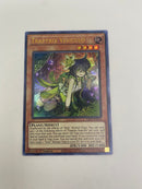 ※即納※ジーナの蟲惑魔 (ウルトラレア) 1st Edition  LIOV-EN016 Traptrix Vesiculo 英語版 EU版